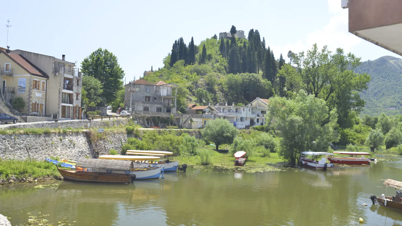 Reed beds and lily-covered water on Skadar Lake, Montenegro's largest lake