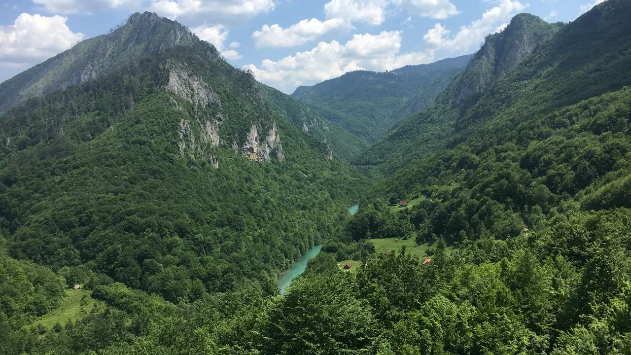 The emerald Tara River winding through its deep forested canyon in Durmitor, Montenegro