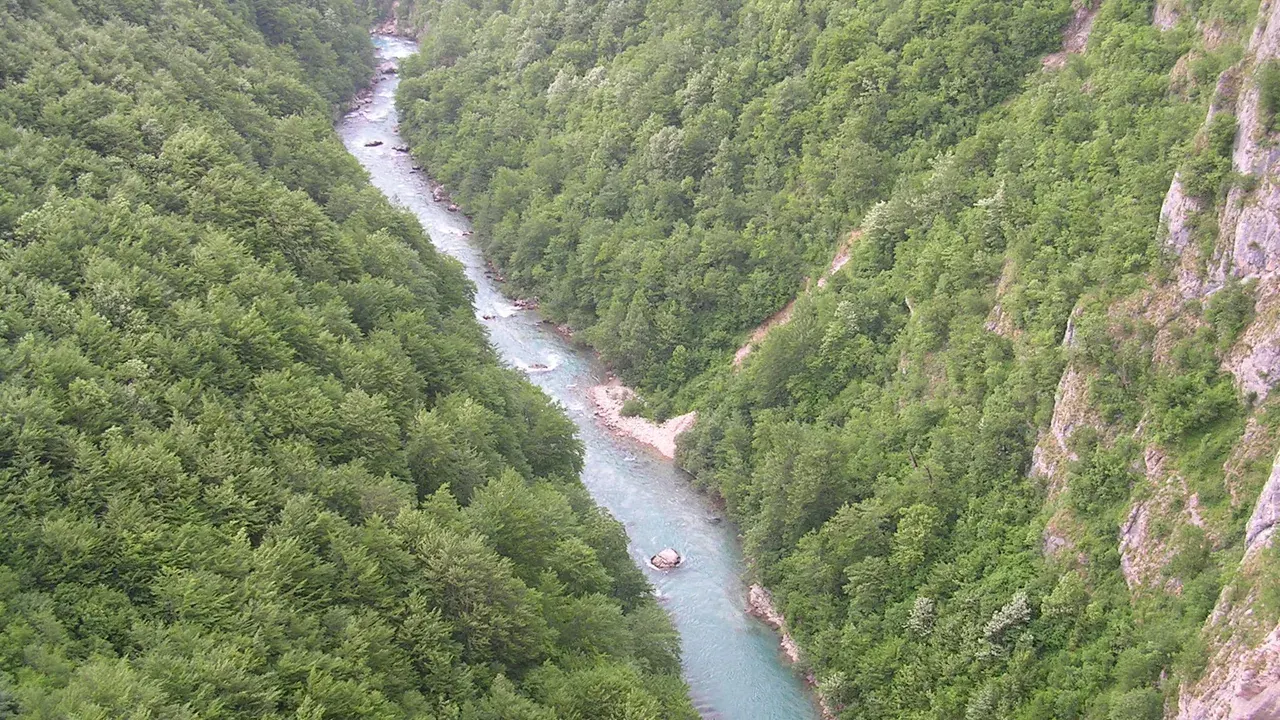 The emerald Tara River winding through its deep forested canyon in Durmitor, Montenegro