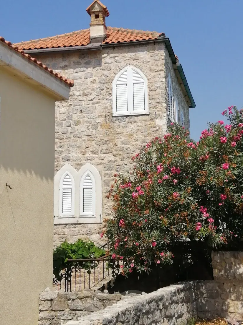 Stone Gothic-windowed houses and oleander in Budva's medieval old town