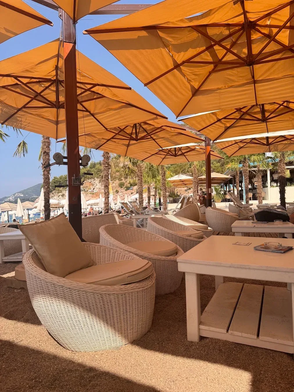Tan umbrellas, wicker armchairs and low white tables on the terrace at Kamenovo Restaurant & Beach Bar, with palm trees and the cove behind