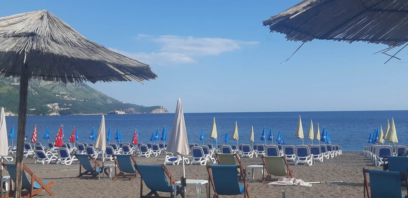 Thatched umbrellas and rows of blue loungers and deckchairs on the sand at Bečići, looking along the bay to a green headland