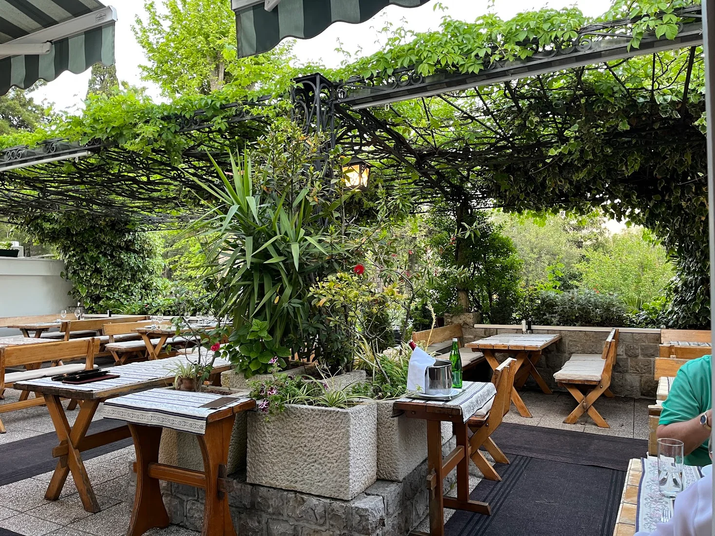 Wooden X-frame tables under a vine-covered pergola on the garden terrace at Restaurant Konoba Demizana in Budva