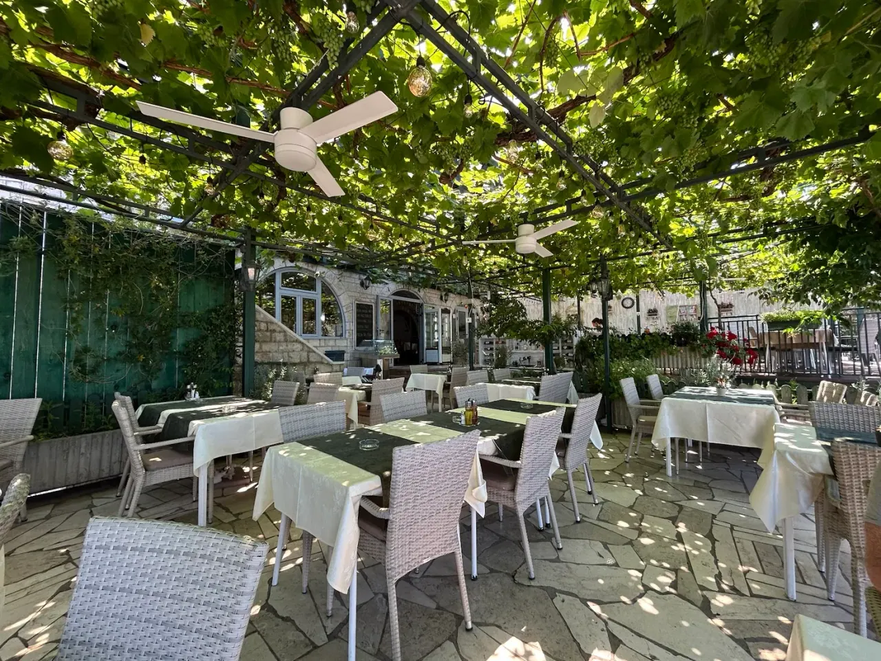 Linen-topped tables under a canopy of grapevines on the terrace at Restoran Drago above Sveti Stefan